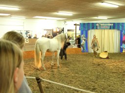 IMG_5213_web